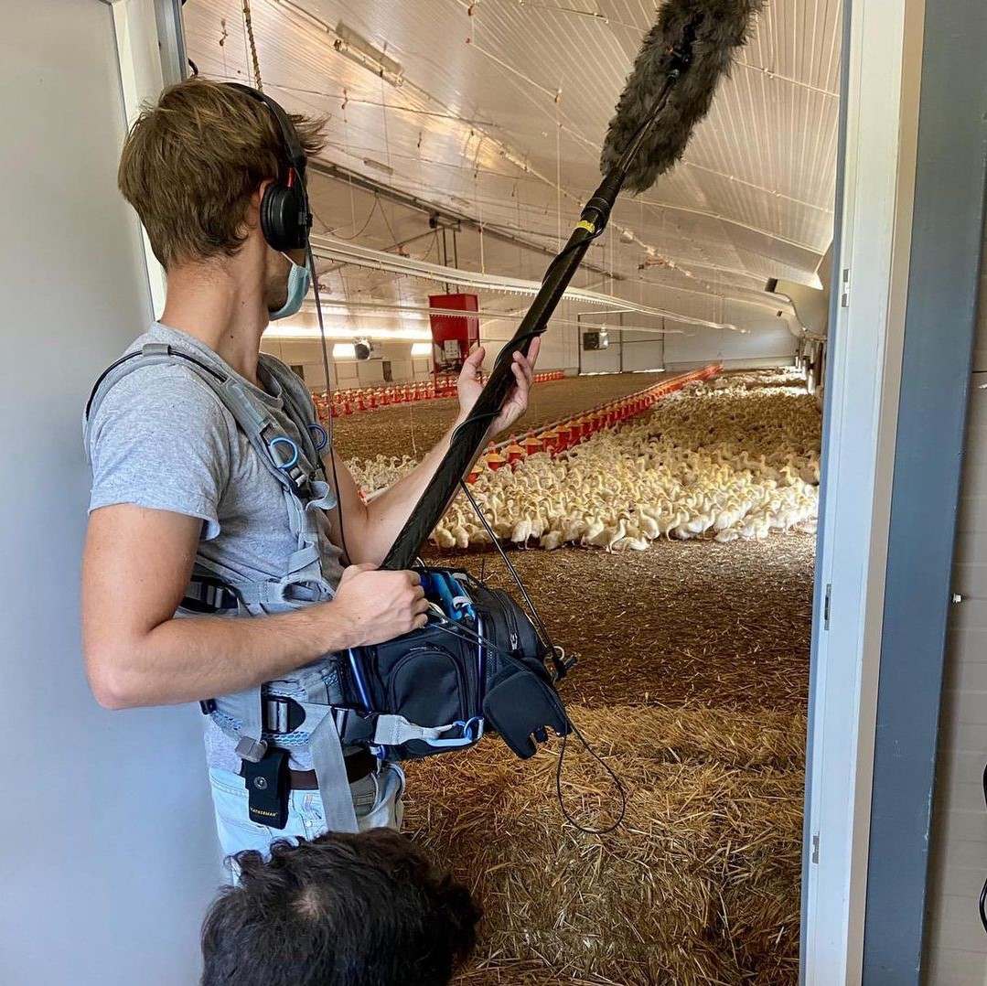 Arekipa Productions
